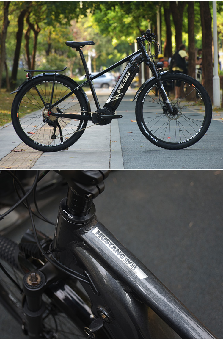 野马单电详情_05.jpg